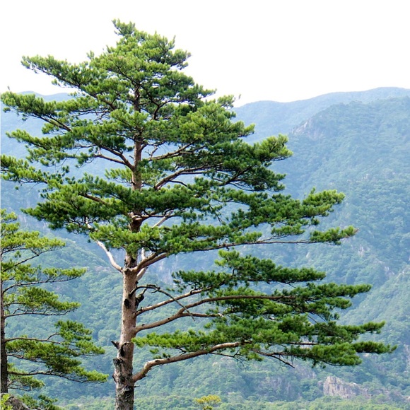 Meet your Posher - Picture 6 of 16